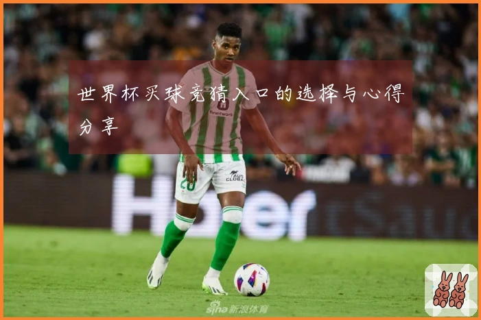 世界杯买球竞猜入口的选择与心得分享