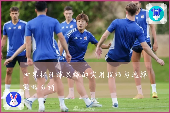 世界杯让球买球的实用技巧与选择策略分析